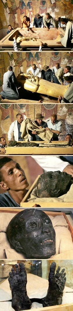 Removing the mummified body of Tutankhamun