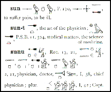 Hieroglyphs: After E.A. Wallis Budge 1978 p259. Note: Budge's version has now been superseded by 'swnw' or 'sinw' however, the hieroglyph remains the same.